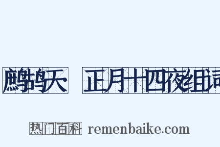 鹧鸪天·正月十四夜组词是什么意思的图片